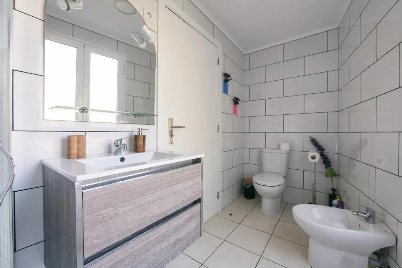 Mateus House - Porto Da Cruz Center Villa Tatil Evi